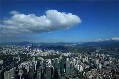 广州高端茶联系方式,探寻品味的极致 广州高端茶联系方式,探寻品味的极致